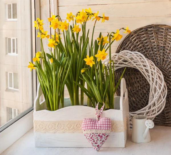 Daffodils in the balcony boxes — Stock Photo, Image