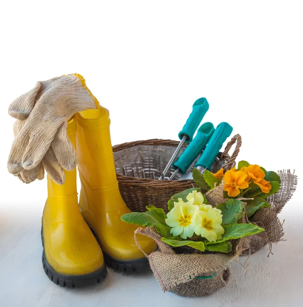 Garden still life — Stock Photo, Image