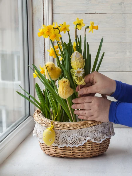 Easter basket of narcissus — Stock Photo, Image