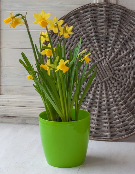 Daffodils in green pot — Stock Photo, Image