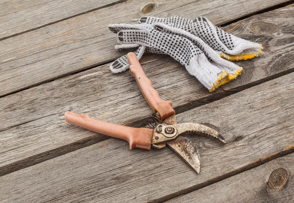 Garden pruner and gardening gloves — Stock Photo, Image