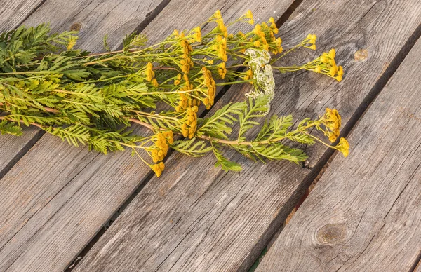 Boerenwormkruid op een houten achtergrond. — Stockfoto