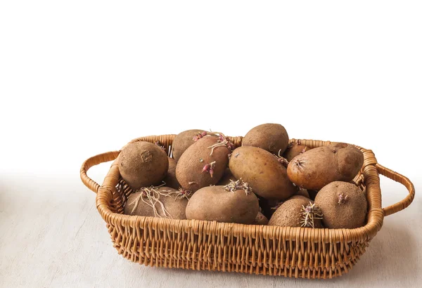 Κόνδυλοι πατάτας με τα λάχανα σε ένα καλάθι — Φωτογραφία Αρχείου