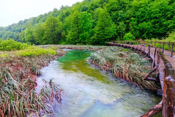 Деревянная туристическая тропа в Плитвицких озерах — стоковое фото