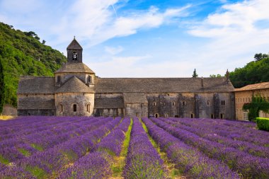 senanque Manastırı