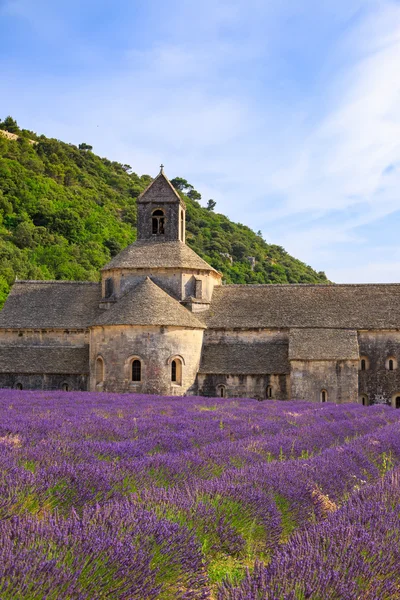 Abadia de senanque — Fotografia de Stock