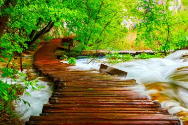 Milli Park Plitvice ahşap yolunda