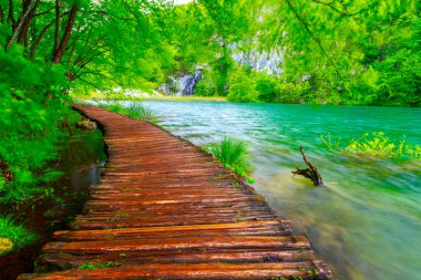 Milli Park Plitvice ahşap yolunda