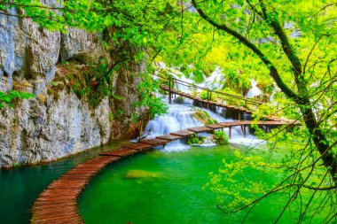 Milli Park Plitvice ahşap yolunda