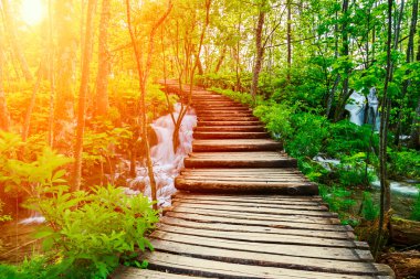 Milli Park Plitvice ahşap yolunda
