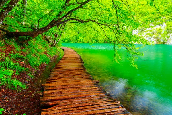 Trä sökvägen i nationalparken i Plitvice — Stockfoto