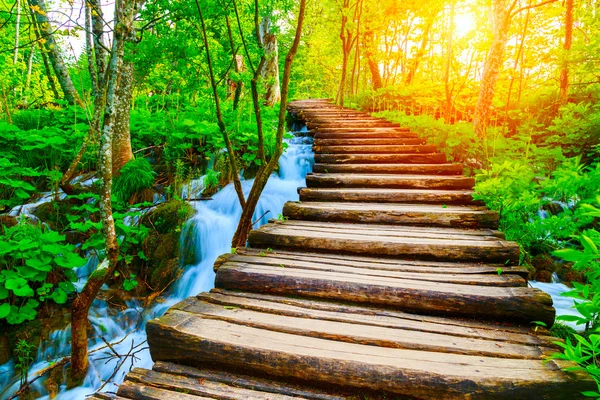 Caminho de madeira no Parque Nacional em Plitvice — Fotografia de Stock