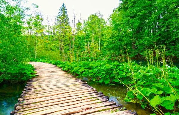 Dřevěný chodník v parku Plitvická jezera — Stock fotografie