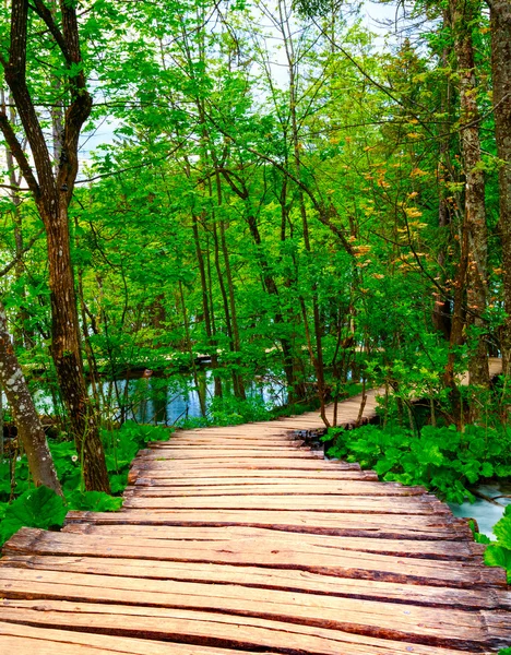 Sendero de madera en el Parque Nacional de Plitvice — Foto de Stock