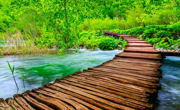 Wooden path in National Park in Plitvice — Stock Photo, Image