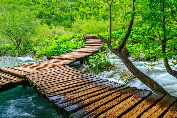 Wooden path in National Park in Plitvice — Stock Photo, Image