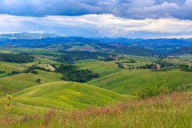 Toskana manzara, alanlar ve çayırlar Volterra yakınlarında