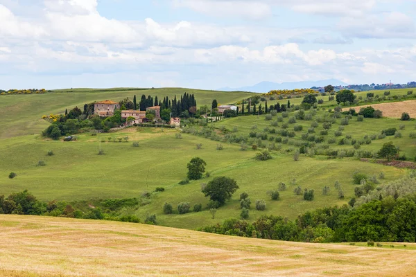 Toscaanse landschap, velden en weiden in de buurt van Volterra — Stockfoto