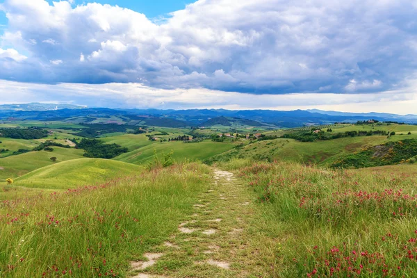 Toscaanse landschap, velden en weiden in de buurt van Volterra — Stockfoto