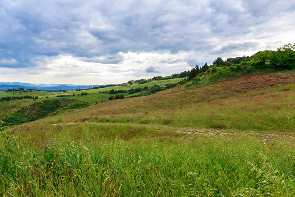 Toskánská krajina, pole a louky poblíž Volterra — Stock fotografie