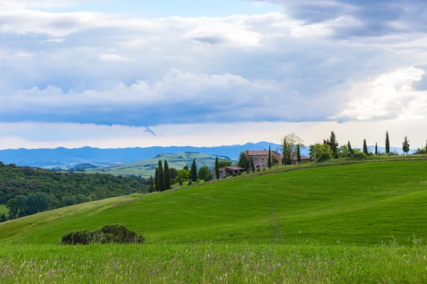 Toskánská krajina, pole a louky poblíž Volterra — Stock fotografie