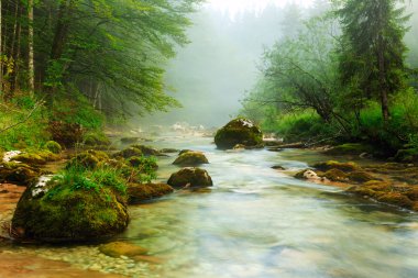Kanyon Mostnica Slovenya Bohinj Gölü yakınındaki