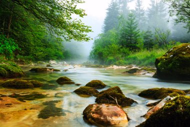 Kanyon Mostnica Slovenya Bohinj Gölü yakınındaki