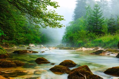 Kanyon Mostnica Slovenya Bohinj Gölü yakınındaki