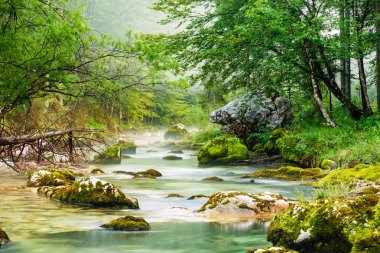 Kanyon Mostnica Slovenya Bohinj Gölü yakınındaki