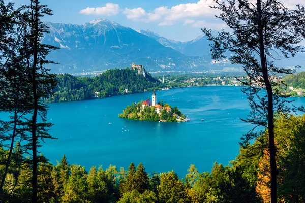Panoramautsikt över sjön bled, Slovenien — Stockfoto