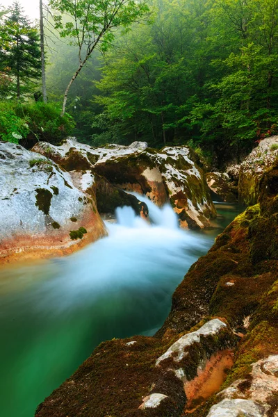 Kaňon Mostnica poblíž jezera Bohinj Slovinsko — Stock fotografie