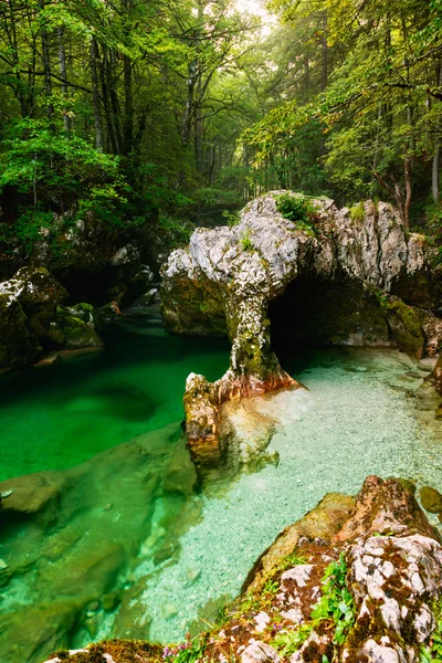 Wąwóz Mostnica, Bohinj, Słowenia — Zdjęcie stockowe