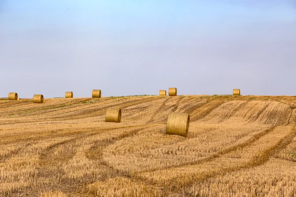 Heuballen auf dem Feld nach der Ernte — Stockfoto