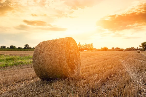 Heuballen auf dem Feld nach der Ernte — Stockfoto