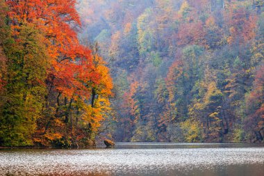 Tortum orman göl Hamori