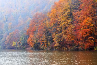 Tortum orman göl Hamori