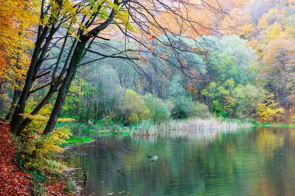 Autum 숲 호수 Hamori — 스톡 사진