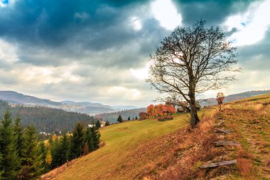sonbahar günbatımı manzara