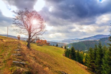 sonbahar günbatımı manzara 