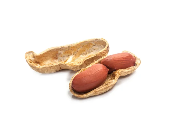Amendoins secos — Fotografia de Stock