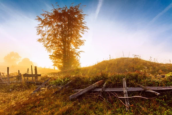 Solnedgång landskap — Stockfoto