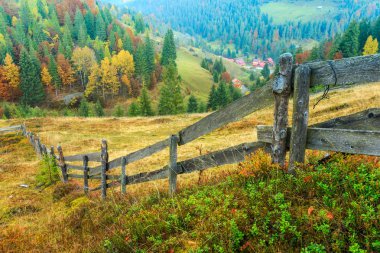 dağlarda sisli yaz sabahı