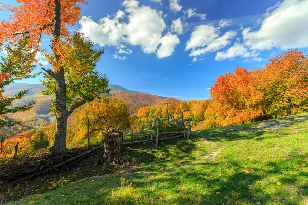 Herbstliche Landschaft — Stockfoto