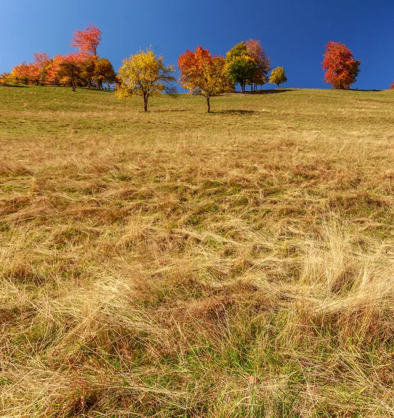 Paysage d'automne — Photo