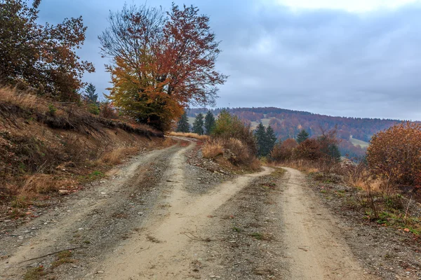 Mañana brumosa en Transilvania — Foto de Stock