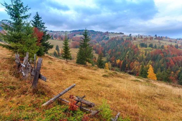 Foggy summer morning in the mountains — Stock Photo, Image