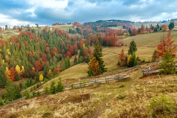 Mlha letní ráno v horách — Stock fotografie