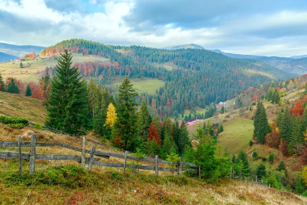 Foggy summer morning in the mountains — Stock Photo, Image