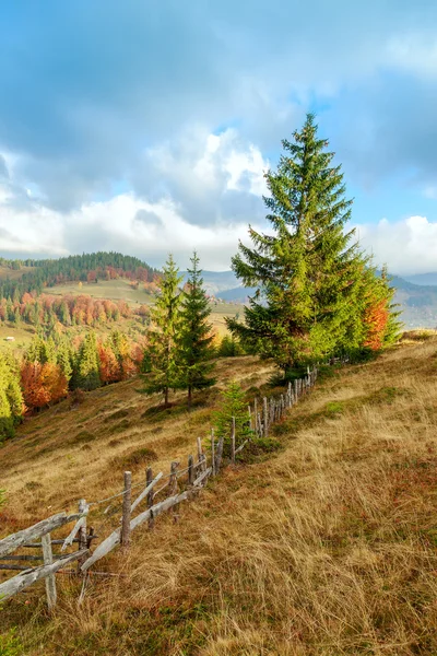 Nebliger Sommermorgen in den Bergen — Stockfoto