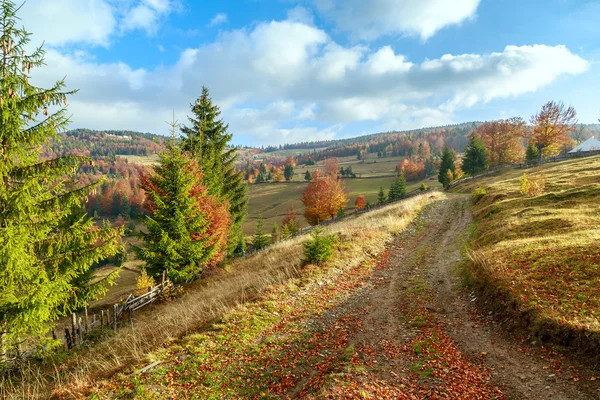 Foggy mattina d'estate in montagna — Foto Stock